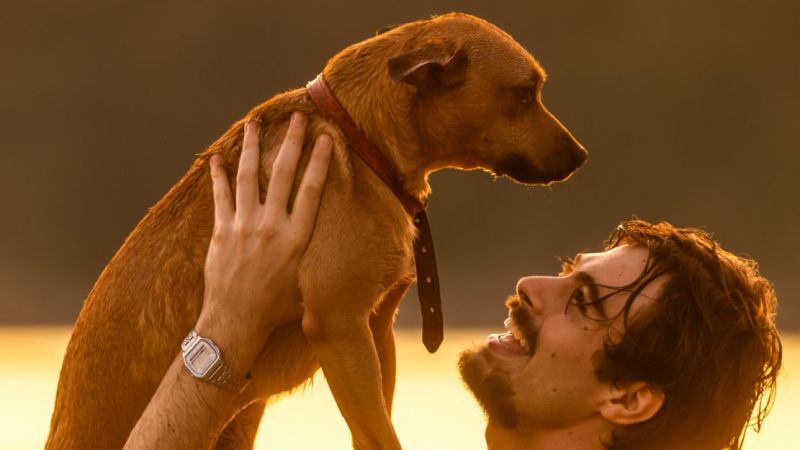 Así es "Caramelo", la tierna película que arrasa en streaming
